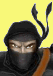 Notes Ninjas